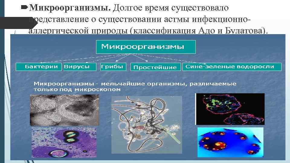  Микроорганизмы. Долгое время существовало представление о существовании астмы инфекционноаллергической природы (классификация Адо и