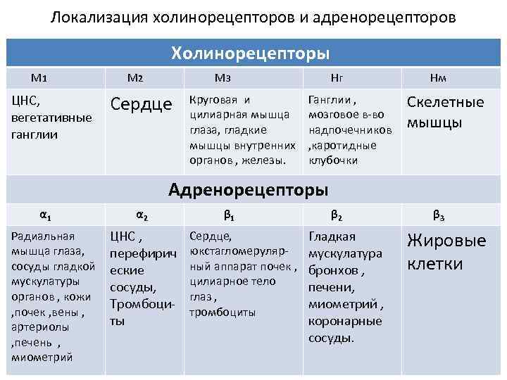 Локализация холинорецепторов и адренорецепторов Холинорецепторы М 1 М 2 М 3 Нг Нм ЦНС,