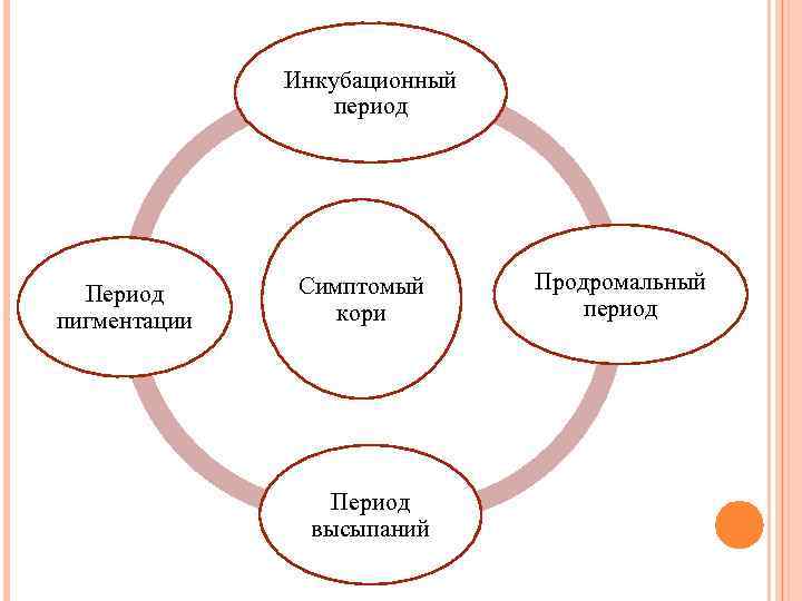 Инкубационный период Период пигментации Симптомый кори Период высыпаний Продромальный период 