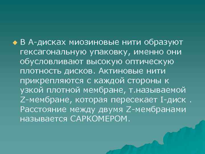 u В А-дисках миозиновые нити образуют гексагональную упаковку, именно они обусловливают высокую оптическую плотность