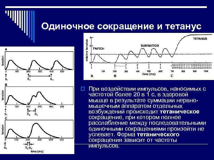 Графическое изображение мышечной работы