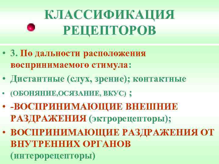 КЛАССИФИКАЦИЯ РЕЦЕПТОРОВ • 3. По дальности расположения воспринимаемого стимула: • Дистантные (слух, зрение); контактные