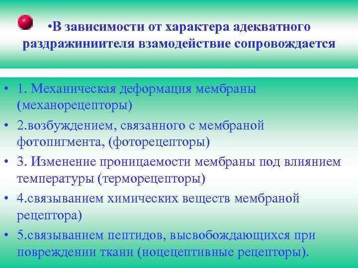  • В зависимости от характера адекватного раздражиниителя взамодействие сопровождается • 1. Механическая деформация
