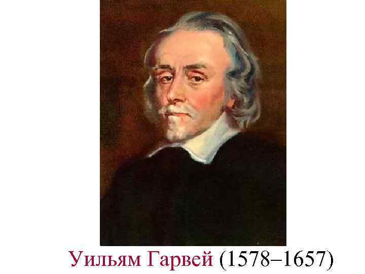 Уильям Гарвей (1578– 1657) 