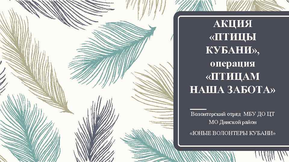АКЦИЯ «ПТИЦЫ КУБАНИ» , операция «ПТИЦАМ НАША ЗАБОТА» Волонтерский отряд МБУ ДО ЦТ МО