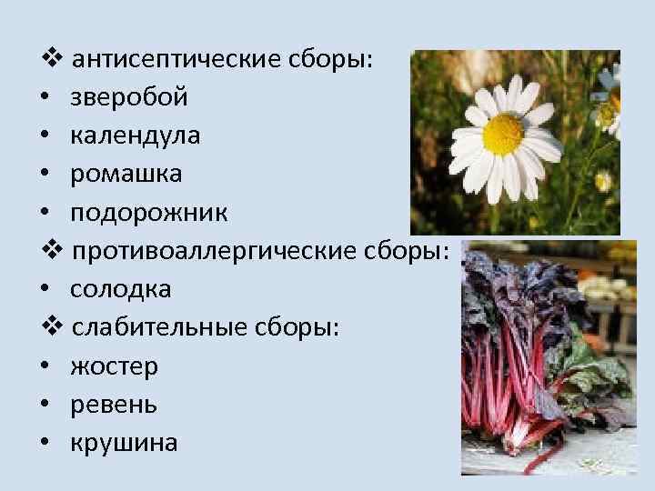 v антисептические сборы: • зверобой • календула • ромашка • подорожник v противоаллергические сборы: