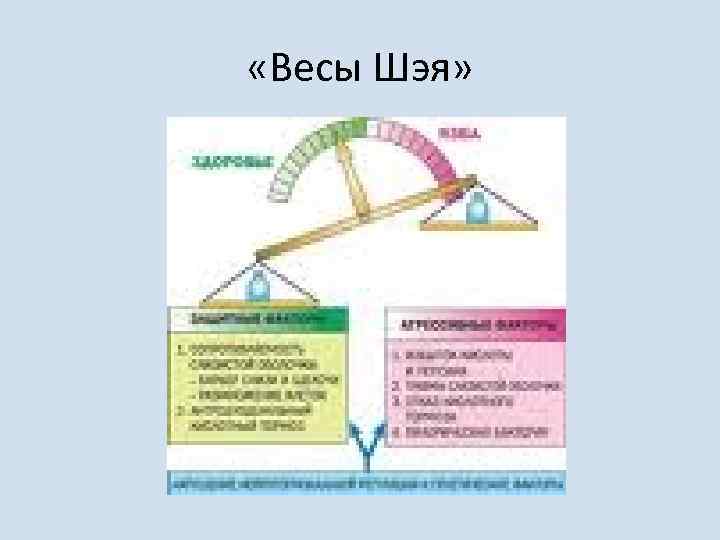  «Весы Шэя» 