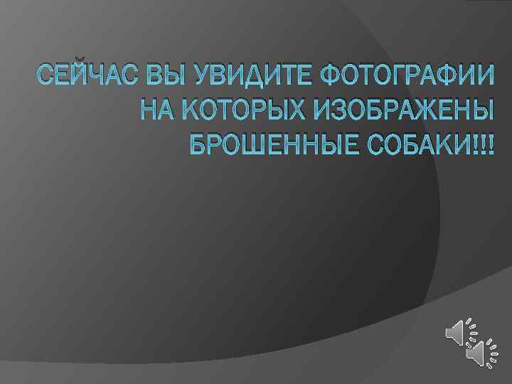 СЕЙЧАС ВЫ УВИДИТЕ ФОТОГРАФИИ НА КОТОРЫХ ИЗОБРАЖЕНЫ БРОШЕННЫЕ СОБАКИ!!! 