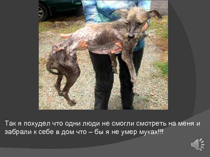 Так я похудел что одни люди не смогли смотреть на меня и забрали к