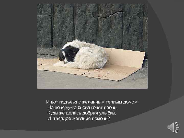 И вот подъезд с желанным теплым домом, Но почему-то снова гонят прочь. Куда же