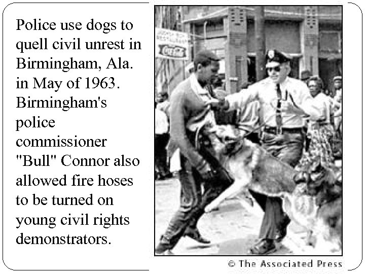 Police use dogs to quell civil unrest in Birmingham, Ala. in May of 1963.