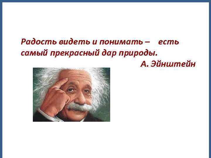 Радость видеть и понимать – есть самый прекрасный дар природы. А. Эйнштейн 