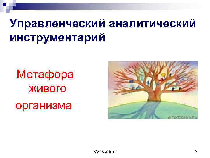 Управленческий аналитический инструментарий Метафора живого организма Осипова Е. Б. 3 