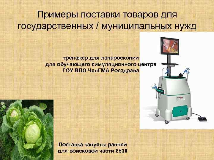 Примеры поставки товаров для государственных / муниципальных нужд тренажер для лапароскопии для обучающего симуляционного