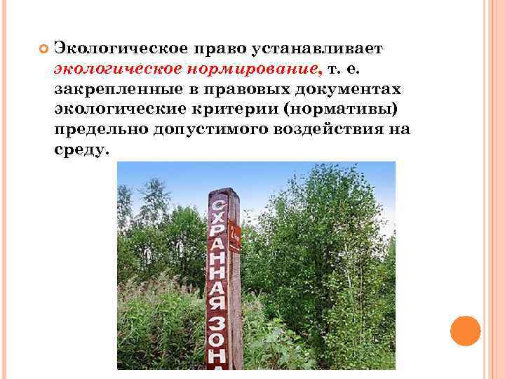  Экологическое право устанавливает экологическое нормирование, т. е. закрепленные в правовых документах экологические критерии