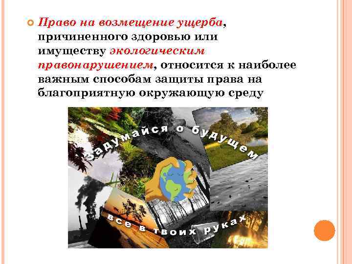  Право на возмещение ущерба, причиненного здоровью или имуществу экологическим правонарушением, относится к наиболее