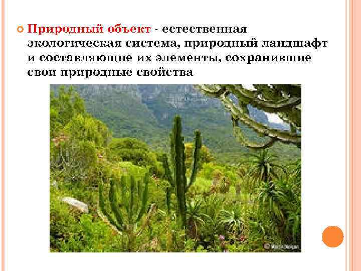  Природный объект - естественная экологическая система, природный ландшафт и составляющие их элементы, сохранившие