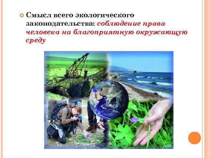  Смысл всего экологического законодательства: соблюдение права человека на благоприятную окружающую среду 