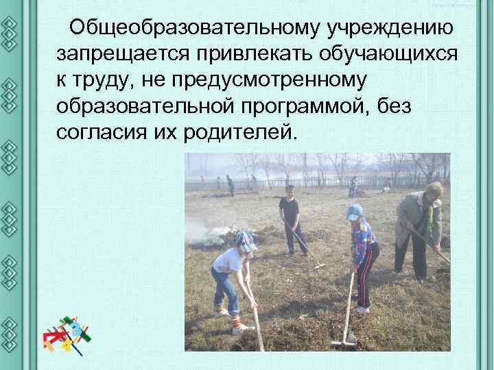 Общеобразовательному учреждению запрещается привлекать обучающихся к труду, не предусмотренному образовательной программой, без согласия их