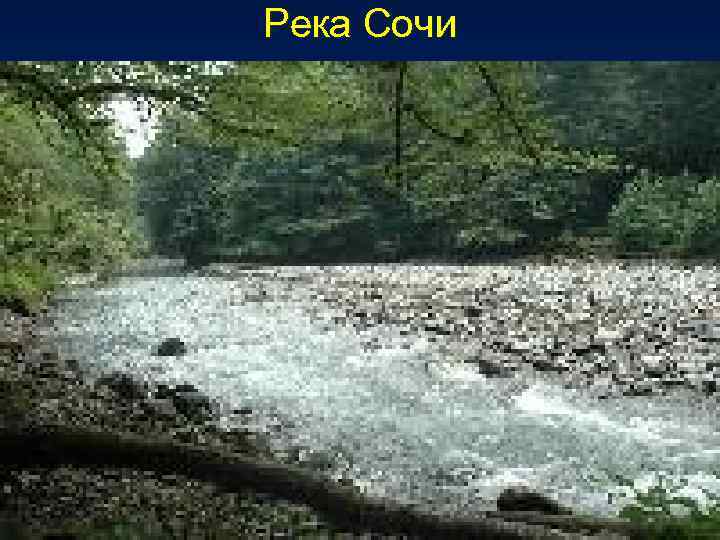 Река Сочи 