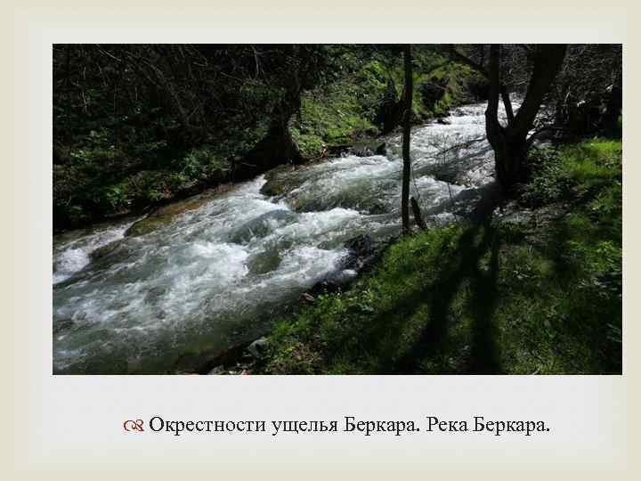  Окрестности ущелья Беркара. Река Беркара. 