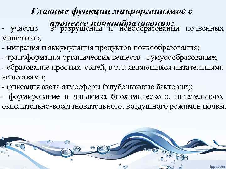 Главные функции микрорганизмов в процессе почвообразования: почвенных - участие в разрушении и новообразовании минералов;