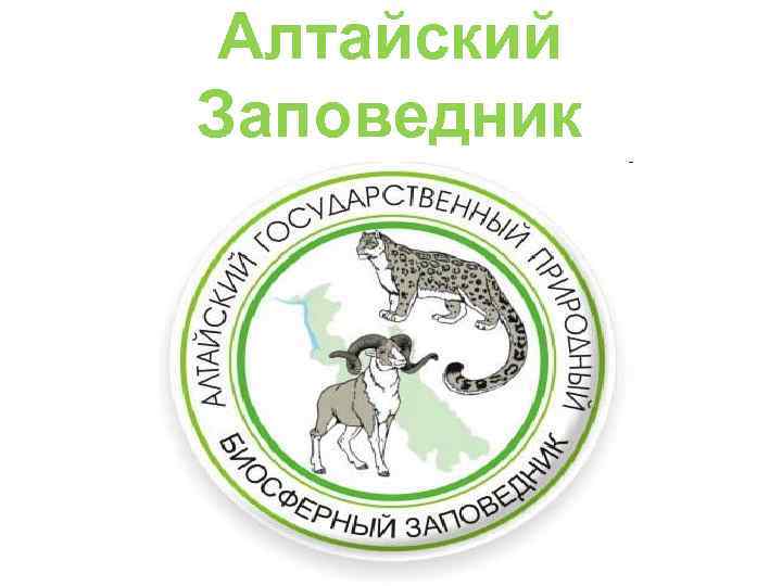 Алтайский Заповедник 