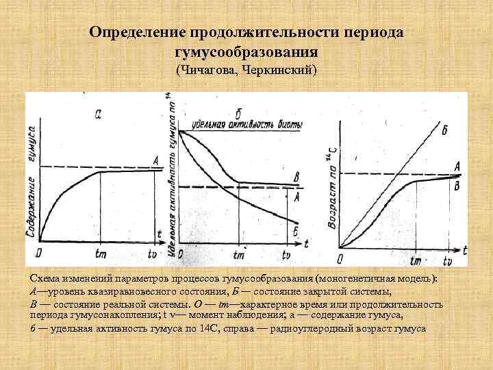Определение продолжительности периода гумусообразования (Чичагова, Черкинский) Схема изменений параметров процессов гумусообразования (моногенетичная модель): А—уровень