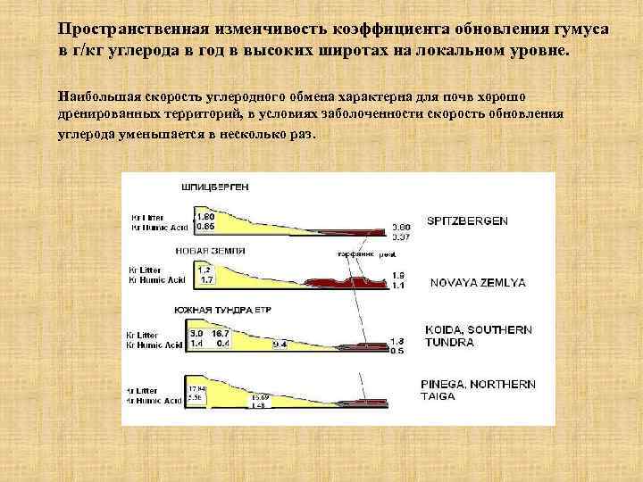 Пространственная изменчивость коэффициента обновления гумуса в г/кг углерода в год в высоких широтах на