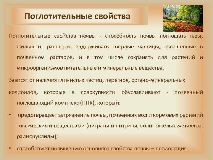 Поглотительные свойства почвы - способность почвы поглощать газы, жидкости, растворы, задерживать твердые частицы, взвешенные
