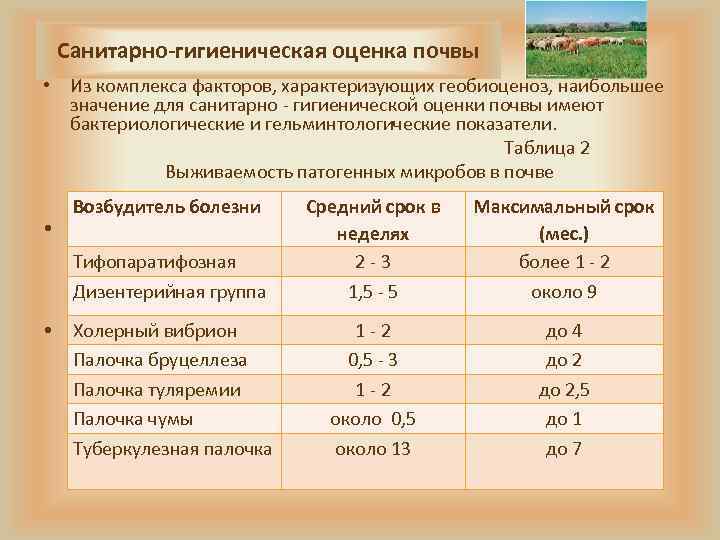 Санитарно-гигиеническая оценка почвы • Из комплекса факторов, характеризующих геобиоценоз, наибольшее значение для санитарно -