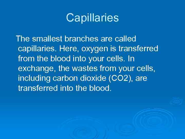 Capillaries The smallest branches are called capillaries. Here, oxygen is transferred from the blood