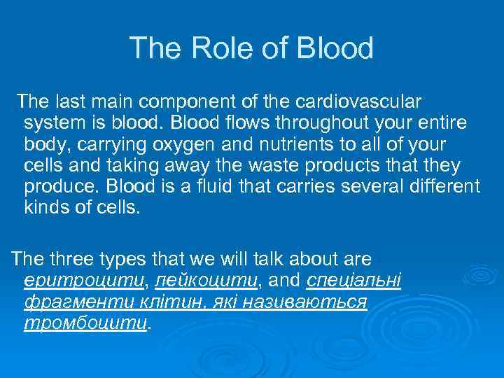 The Role of Blood The last main component of the cardiovascular system is blood.