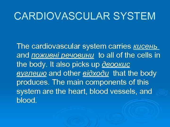 CARDIOVASCULAR SYSTEM The cardiovascular system carries кисень and поживні речовини to all of the