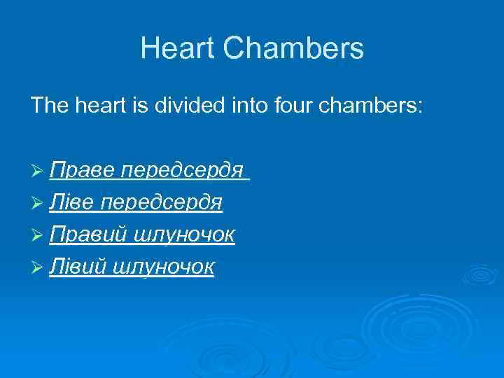 Heart Chambers The heart is divided into four chambers: Ø Праве передсердя Ø Ліве