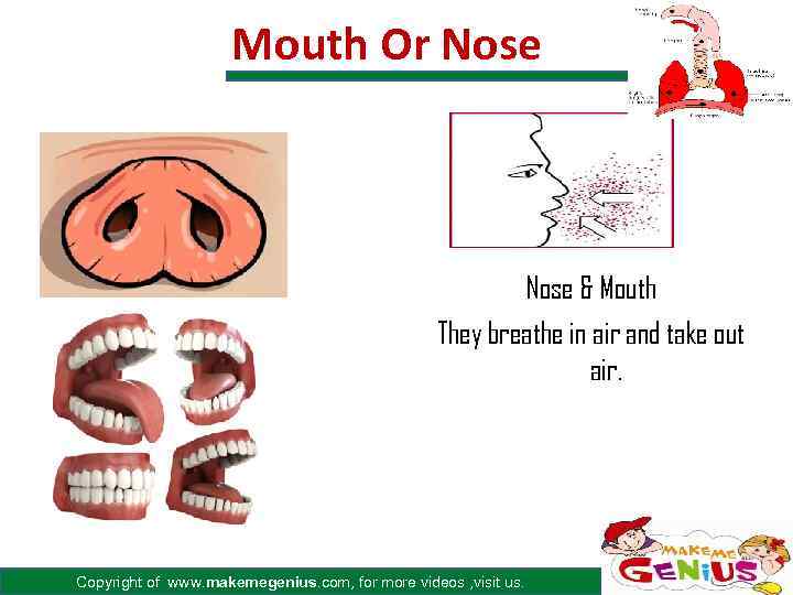 Mouth Or Nose & Mouth They breathe in air and take out air. Copyright