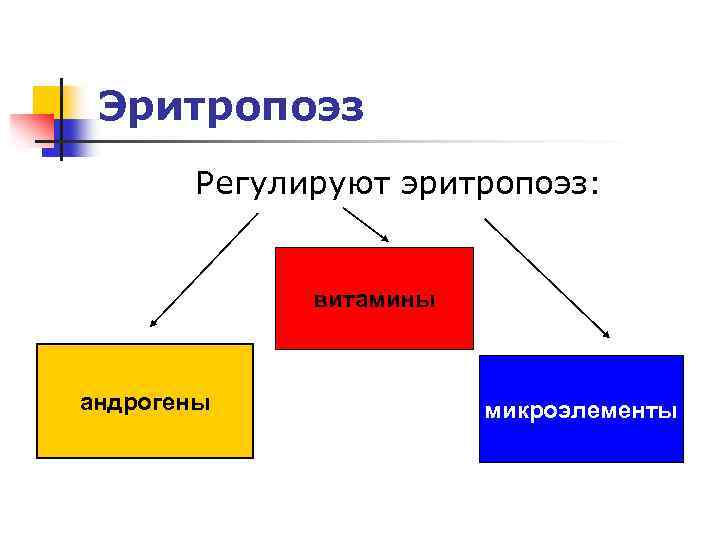 Эритропоэз Регулируют эритропоэз: витамины андрогены микроэлементы 