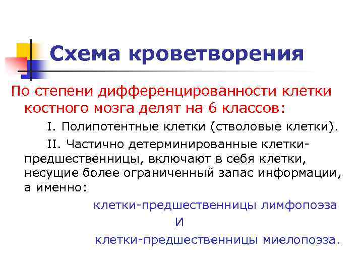 Схема кроветворения По степени дифференцированности клетки костного мозга делят на 6 классов: I. Полипотентные