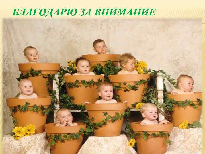 БЛАГОДАРЮ ЗА ВНИМАНИЕ 