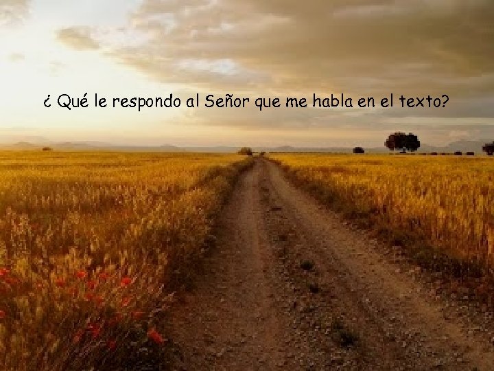 ¿ Qué le respondo al Señor que me habla en el texto? 