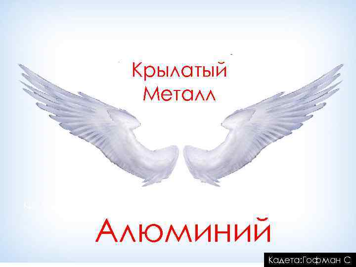 Крылатый Металл Крылатый Алюминий Кадета: Гофман С 
