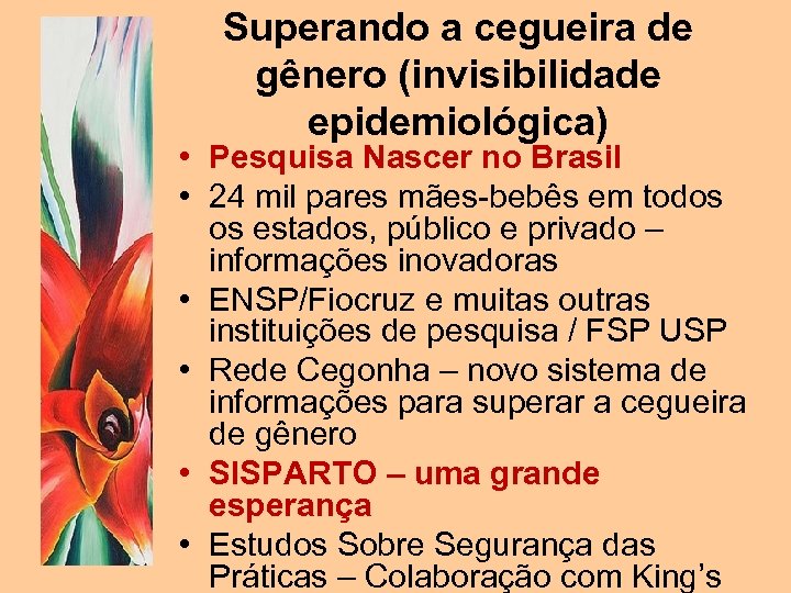 Superando a cegueira de gênero (invisibilidade epidemiológica) • Pesquisa Nascer no Brasil • 24