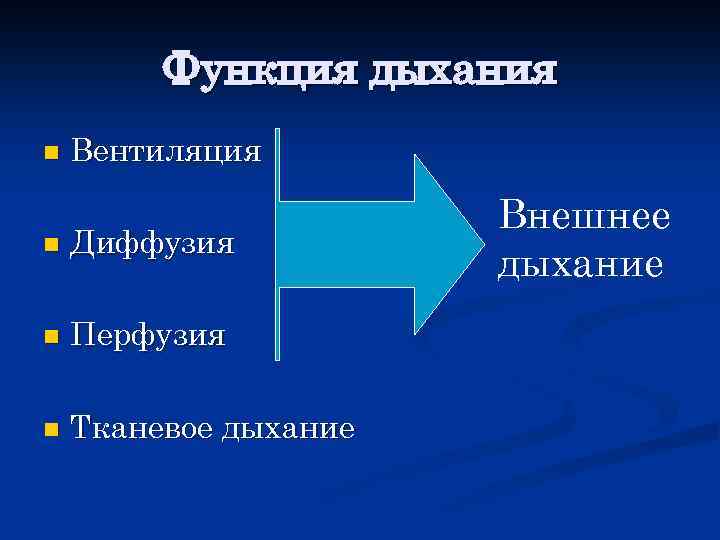 Функция дыхания n Вентиляция n Диффузия n Перфузия n Тканевое дыхание Внешнее дыхание 