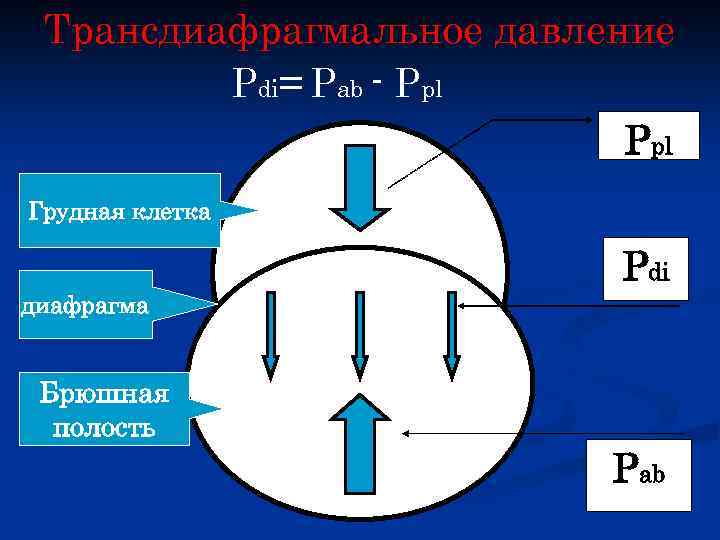 Трансдиафрагмальное давление Pdi= Pab - Ppl Грудная клетка Pdi диафрагма Брюшная полость Pab 