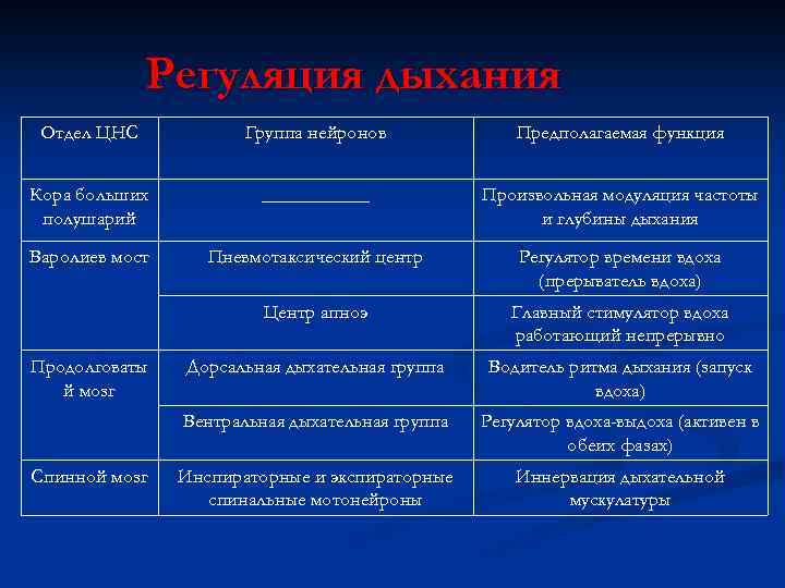 Регуляция дыхания Отдел ЦНС Группа нейронов Предполагаемая функция Кора больших полушарий ______ Произвольная модуляция