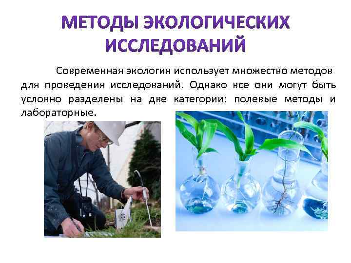 Современная экология использует множество методов для проведения исследований. Однако все они могут быть условно