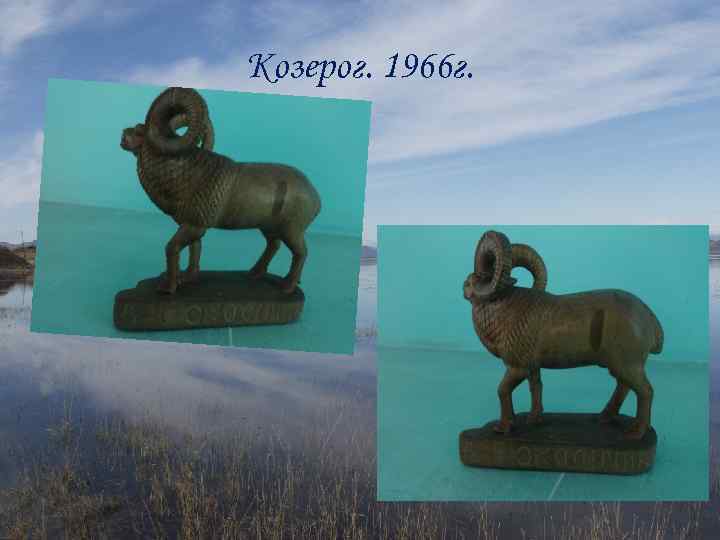 Козерог. 1966 г. 