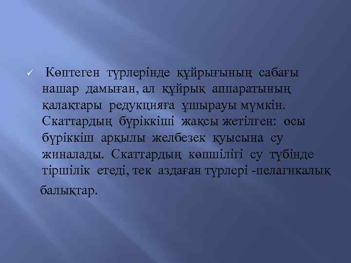  Көптеген түрлерінде құйрығының сабағы нашар дамыған, ал құйрық аппаратының қалақтары редукцияға ұшырауы мүмкін.