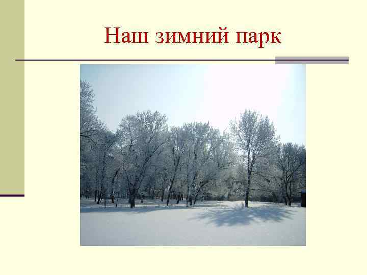 Наш зимний парк 