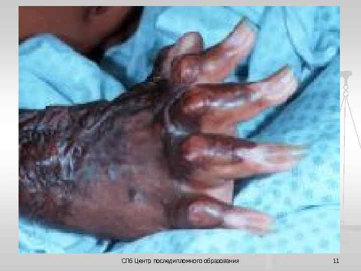 СПб Центр последипломного образования 11 